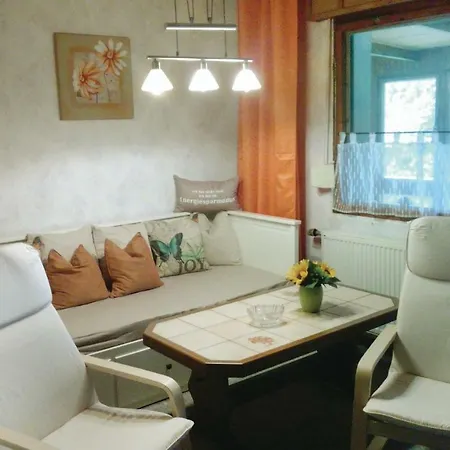 In With Sauna Vakantiehuis